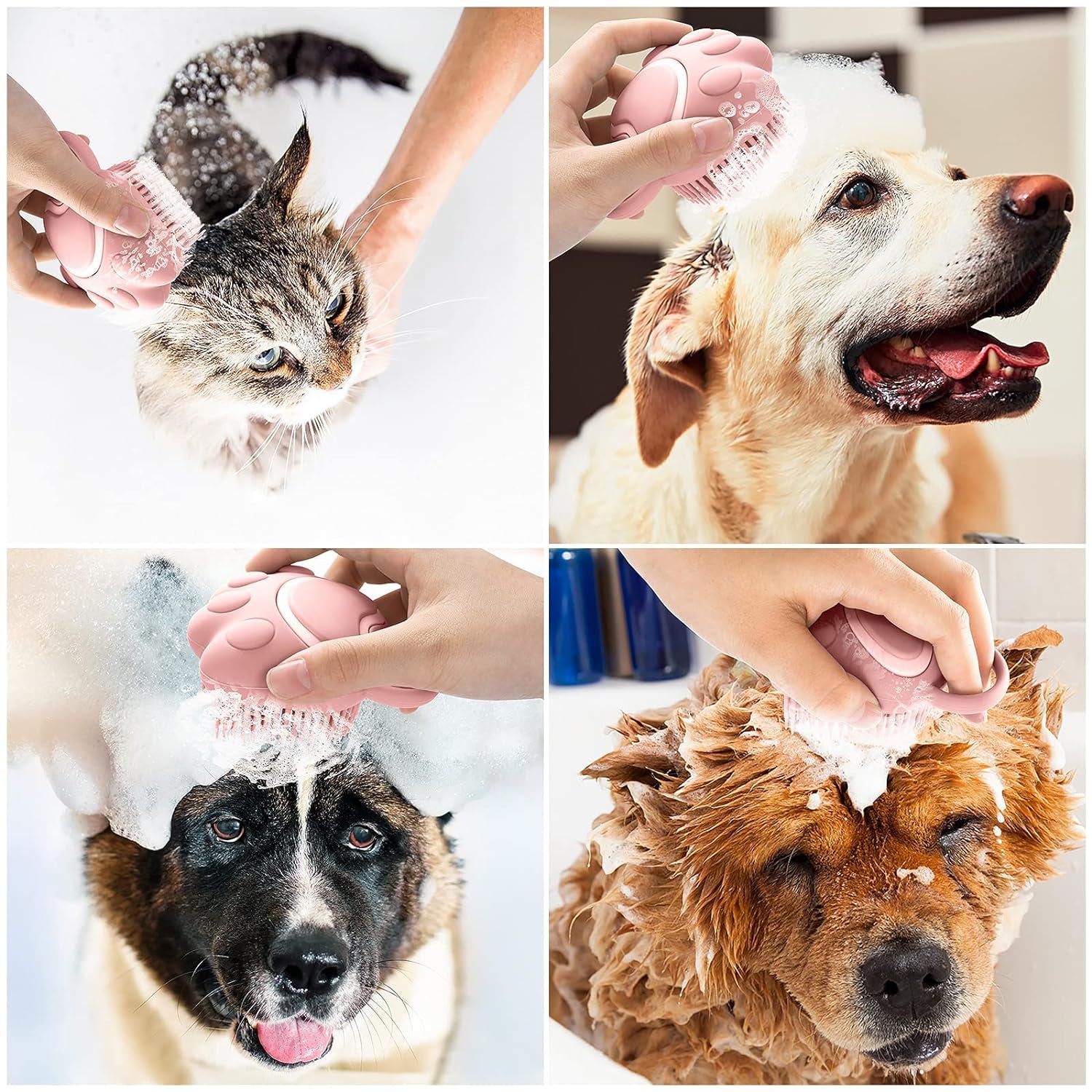 Pet Beauty&Spa