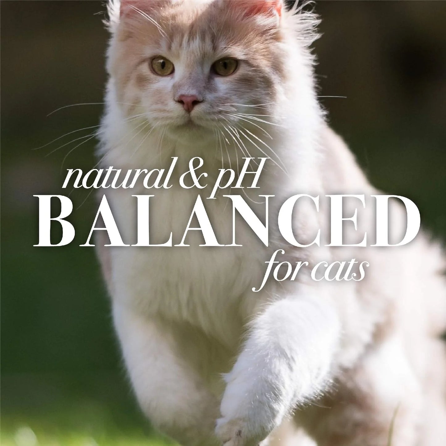 Burt’S Bees Hypoallergenic Shampoo for Cats