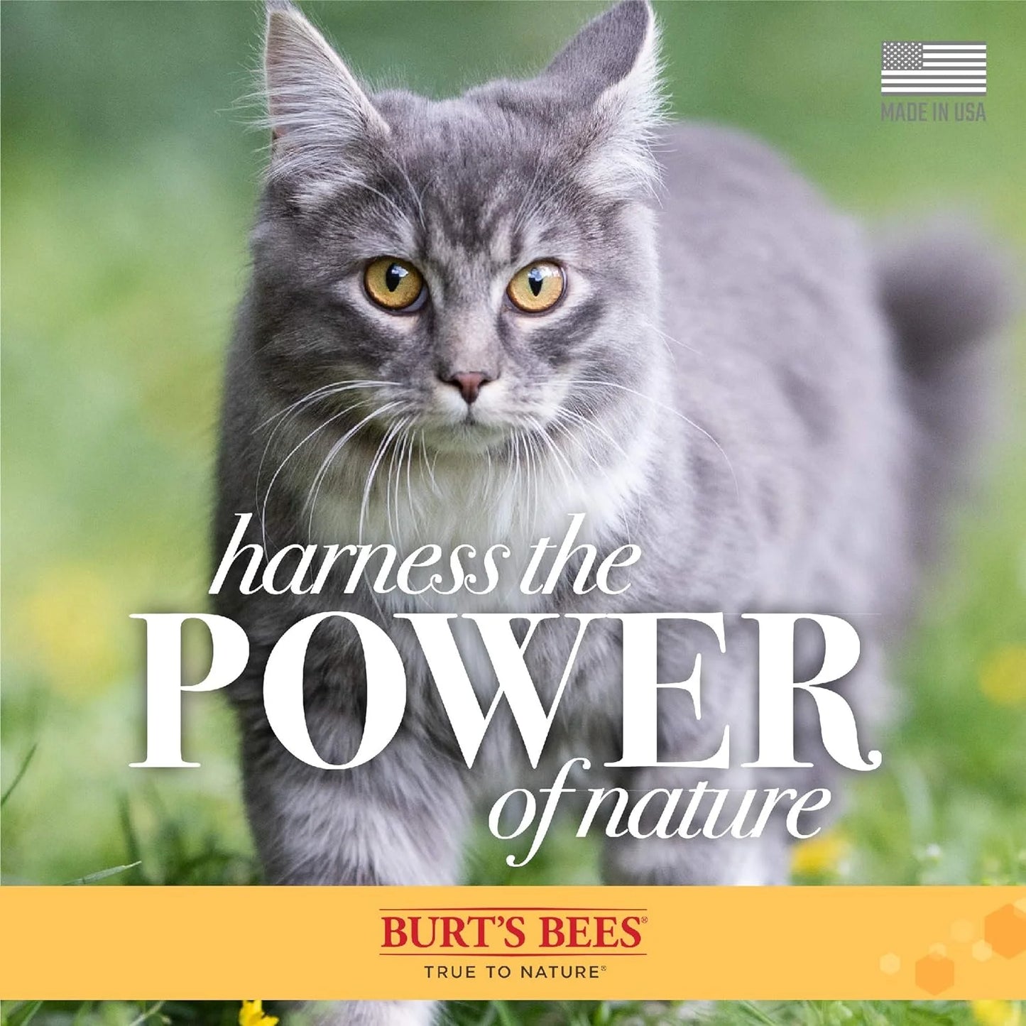 Burt’S Bees Hypoallergenic Shampoo for Cats