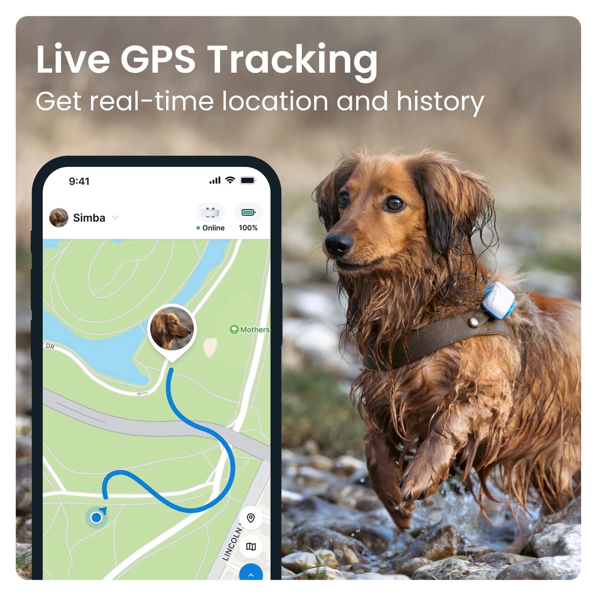 Dog GPS Tracker with Activity Monitoring, Fits Any Collar (Dark Blue)