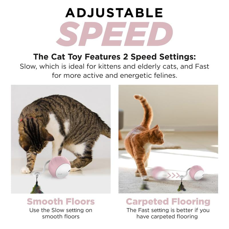 Interactive Cat Ball,Motion Activate Electric Cat ,Pet Exercise Electric for Indoor Cat,Auto-Routing (Computing),Active Rolling Ball,Usb Rechargeablec,Valentine'S Day Gift，Dog , Gravity Ball, Dog Toy